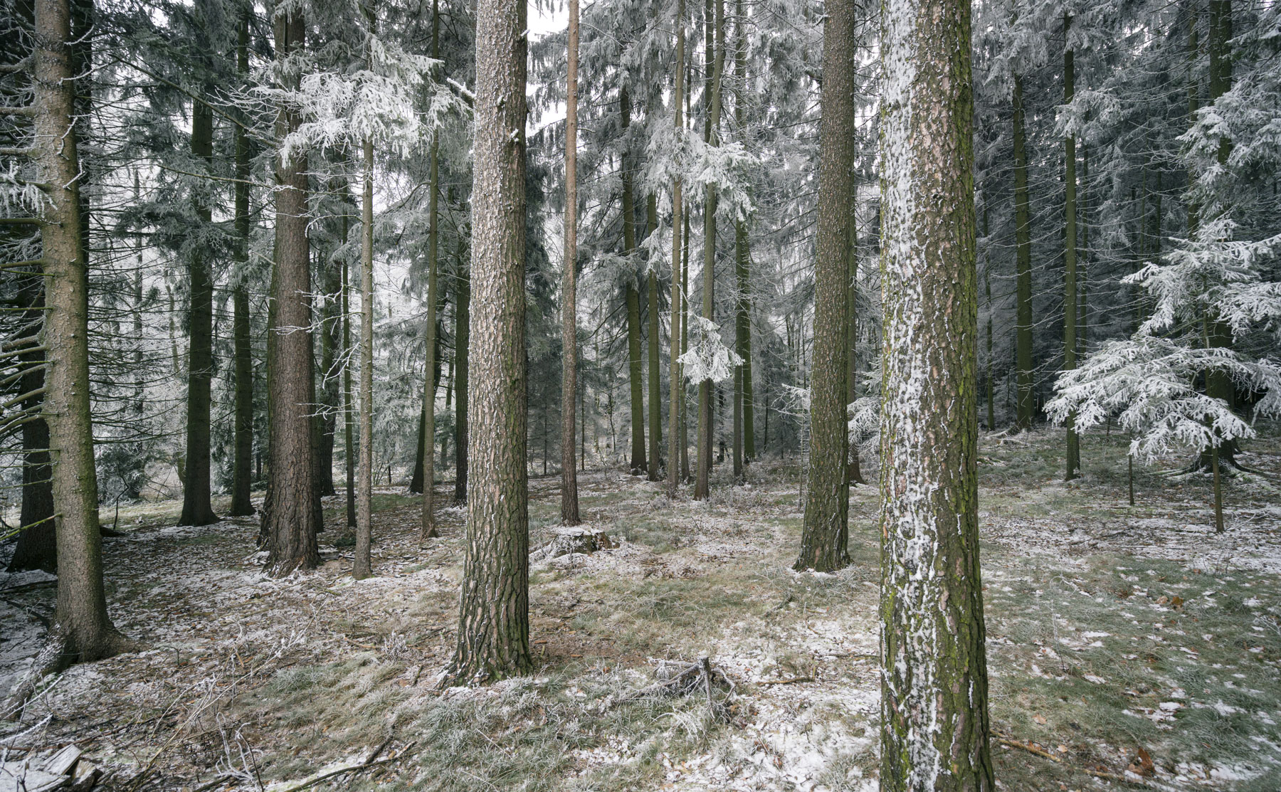 Gewinnspiel Mareiner Holz